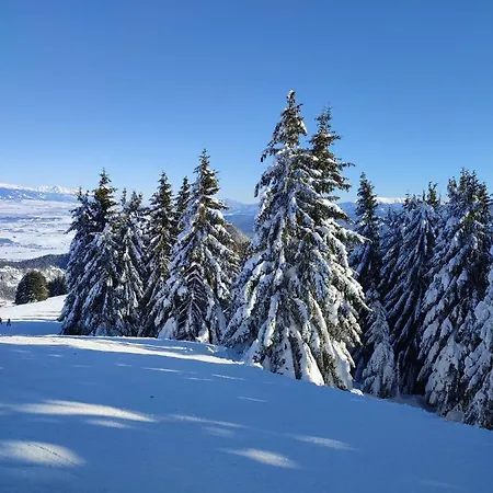 Luxe 79 Apartamento *