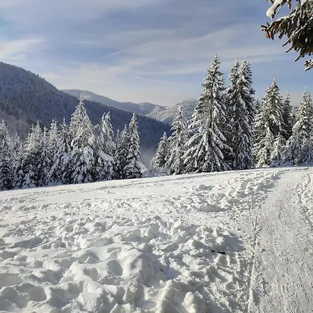 Luxe 79 * Ruzomberok